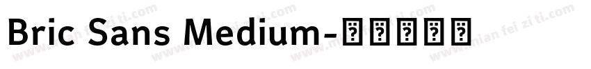 Bric Sans Medium字体转换